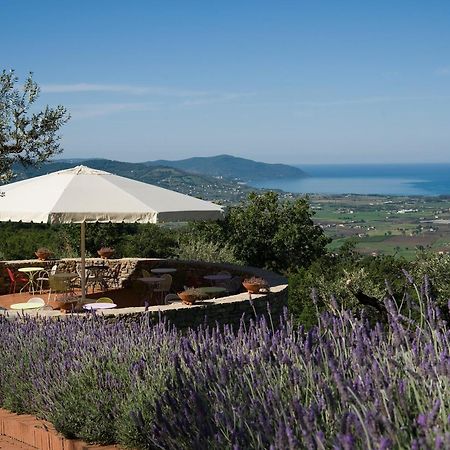 Hotel Borgo La Pietraia Paestum Esterno foto